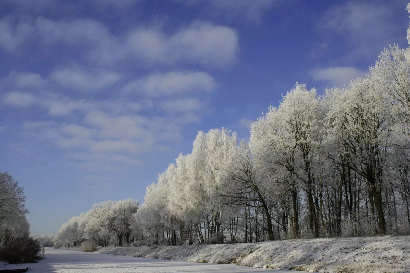 Langgoor-Gebied winter 1km