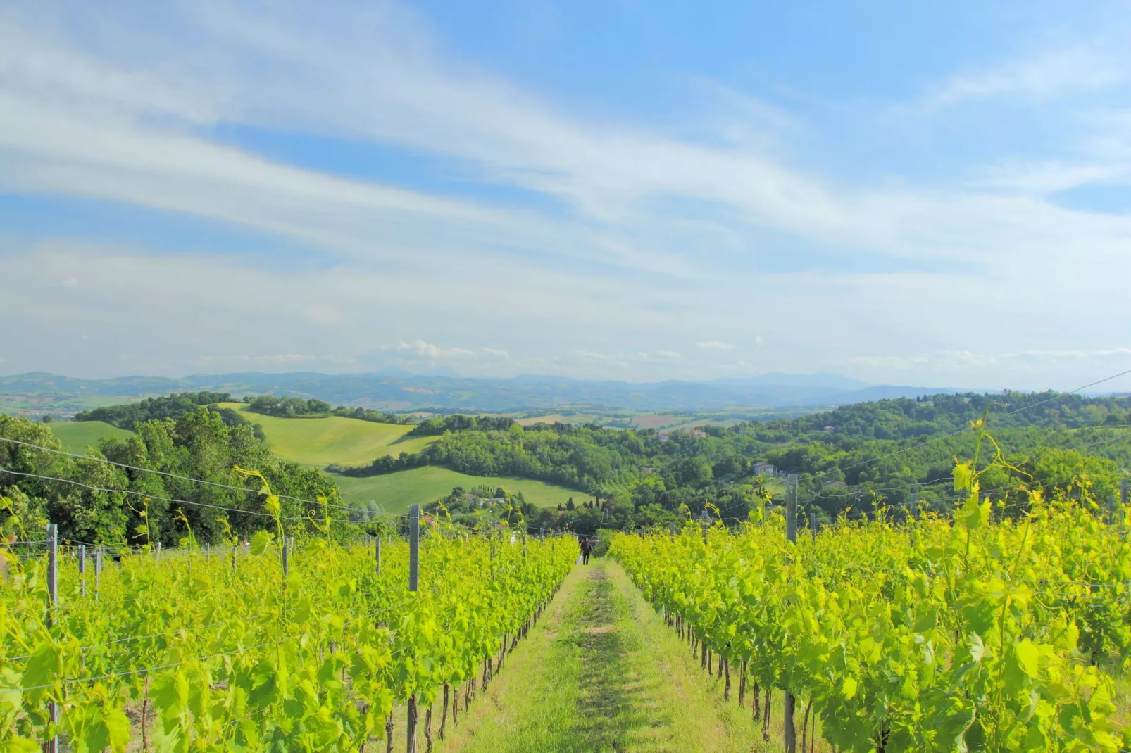 Panorama La Foglia-Gebieden zomer 20km