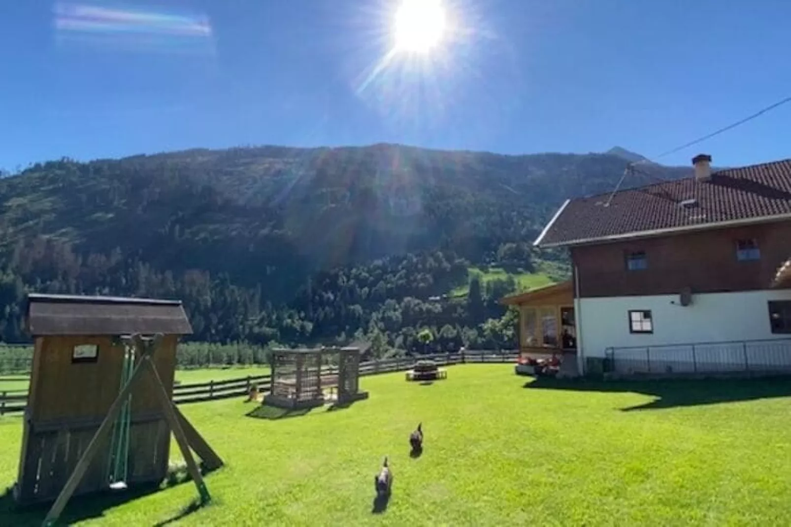 Chalet Murmel-Tuinen zomer