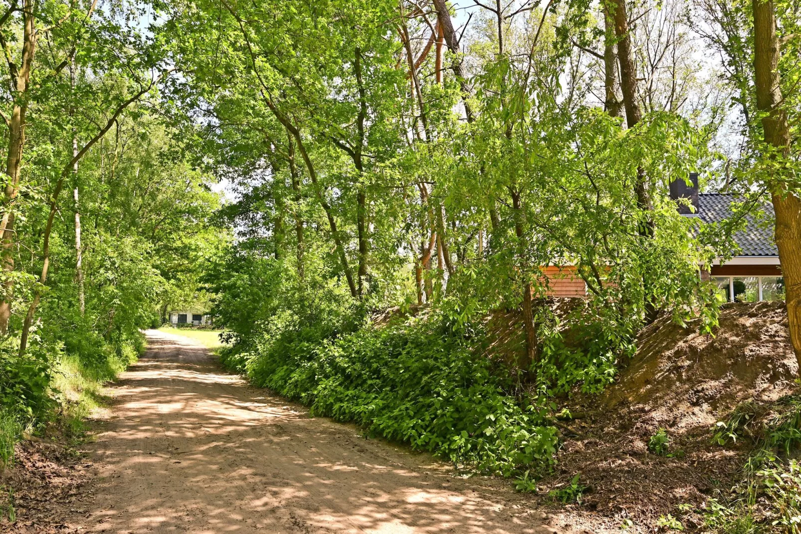 Veldzicht-Gebieden zomer 1km