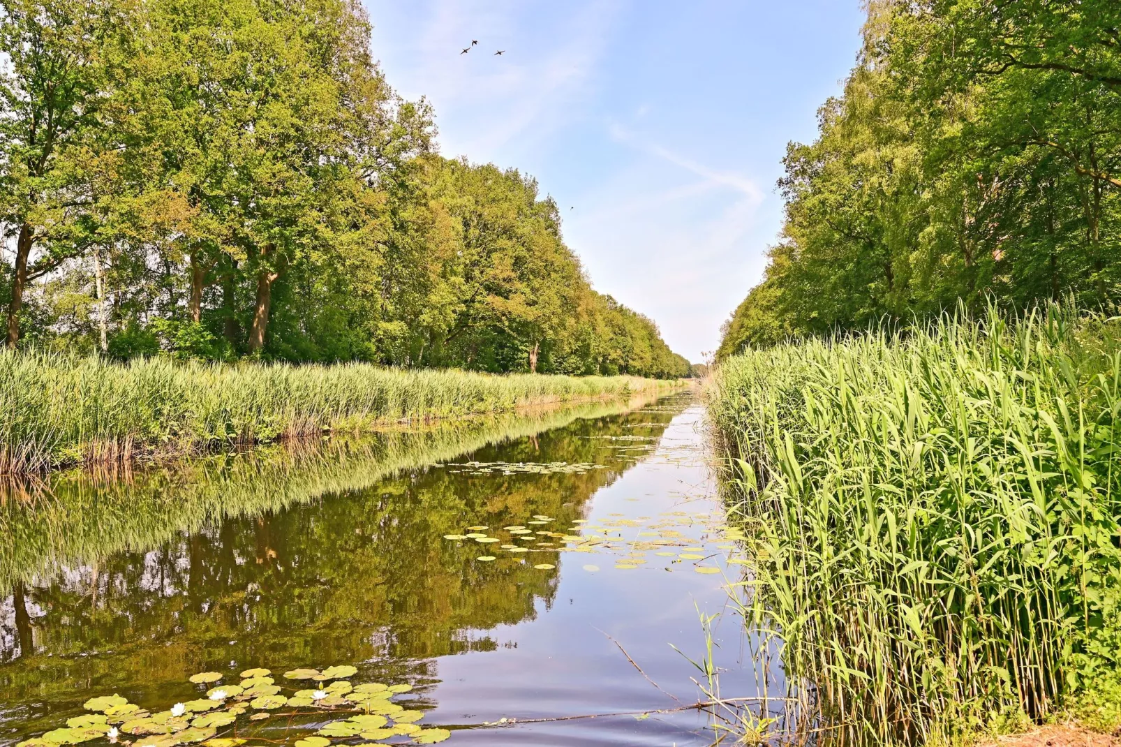 Veldzicht-Gebieden zomer 5km