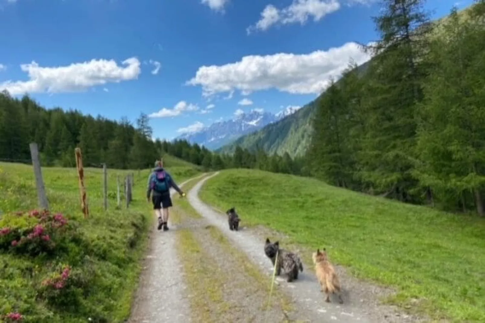 Chalet Murmel-Gebieden zomer 20km