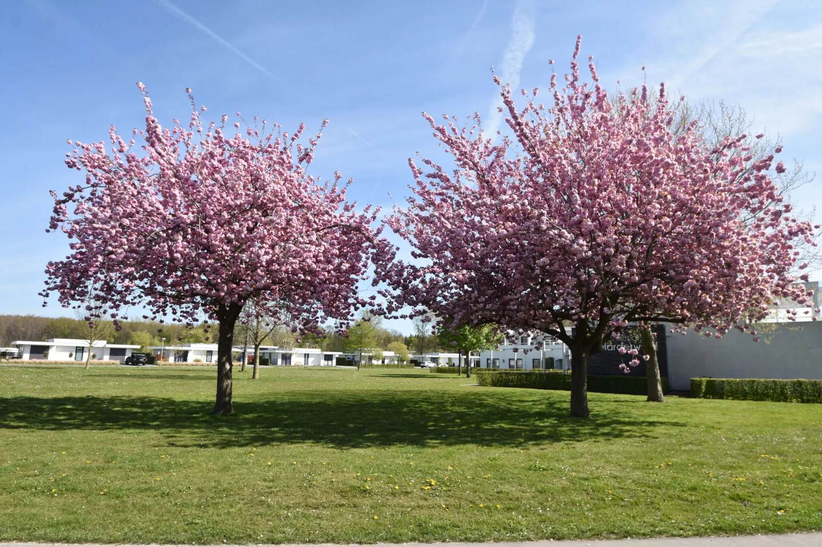 Harderwold villa 356-Gebieden zomer 1km