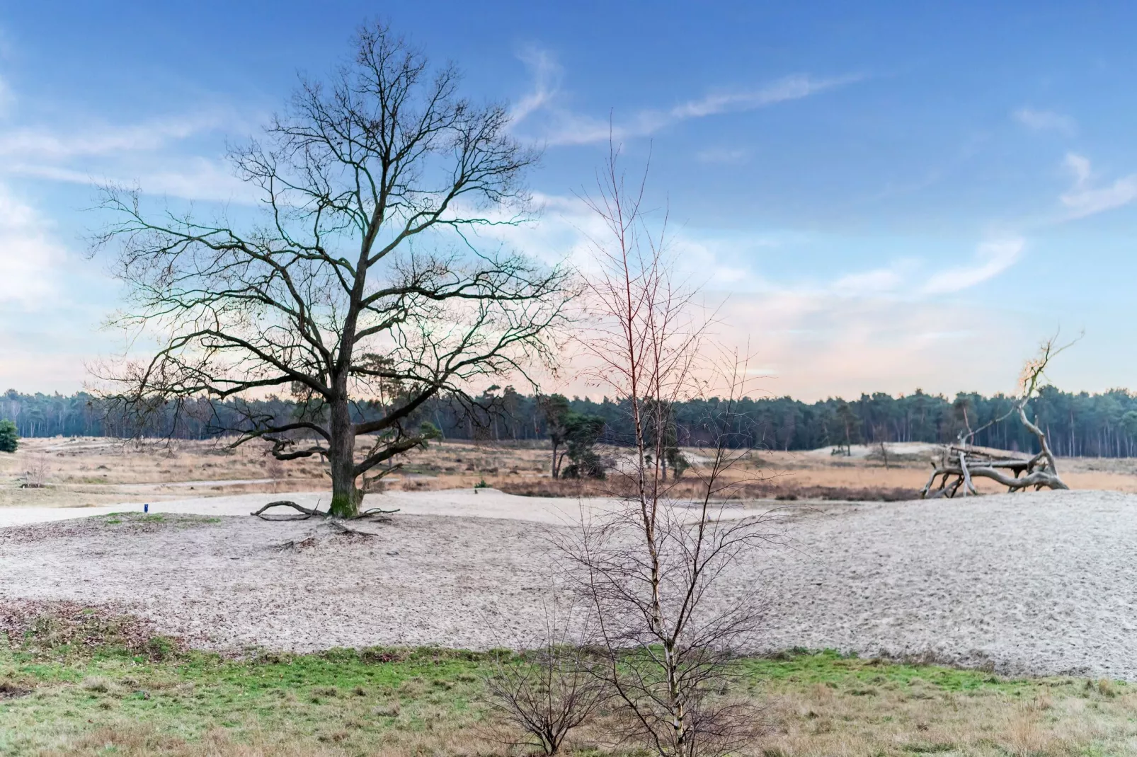 Villa Loonse Duinen-Gebieden zomer 5km