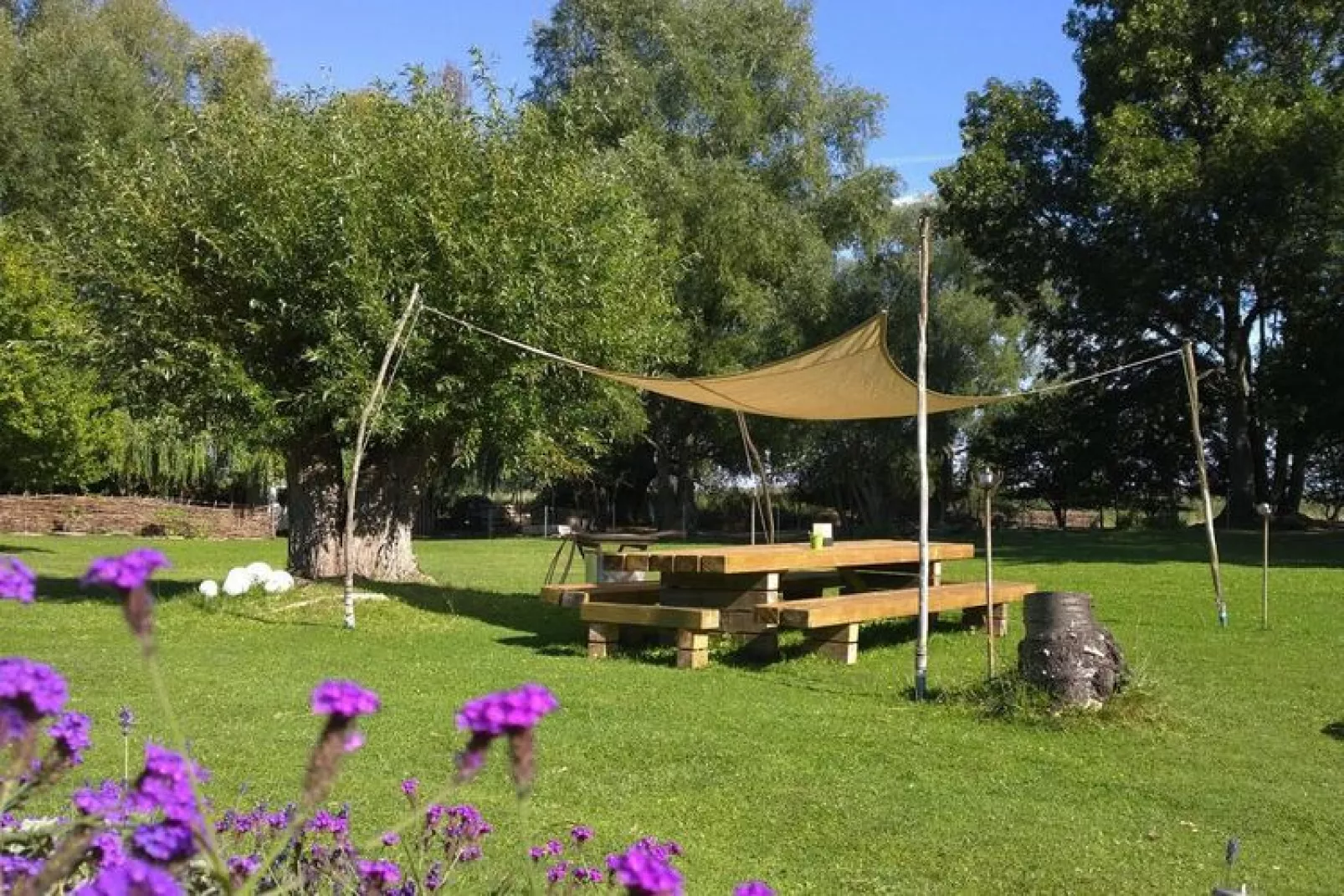 Haus 11 - 3 Personen - Tuinen zomer
