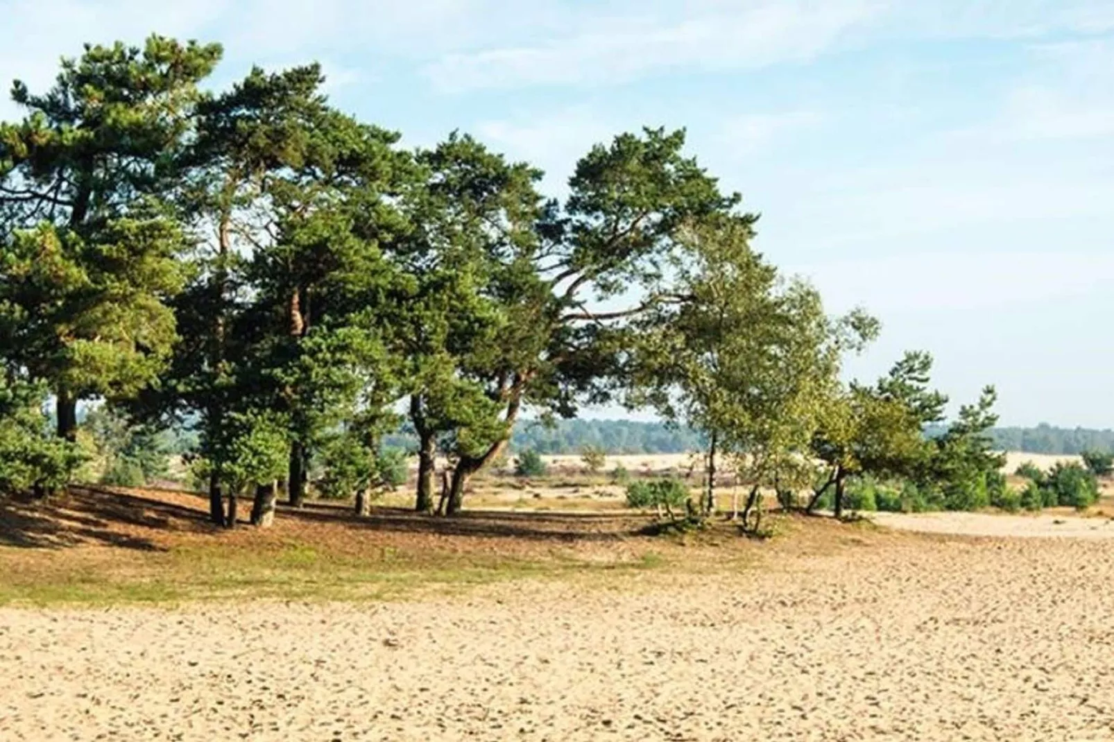 Villa Loonse Duinen-Gebieden zomer 5km