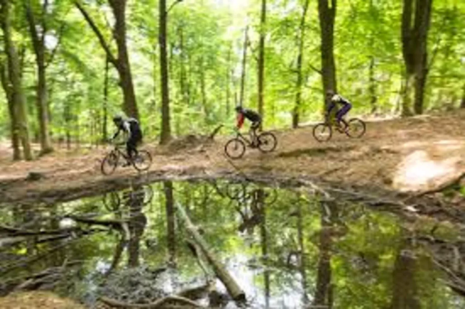 Villa Loonse Duinen-Gebieden zomer 1km