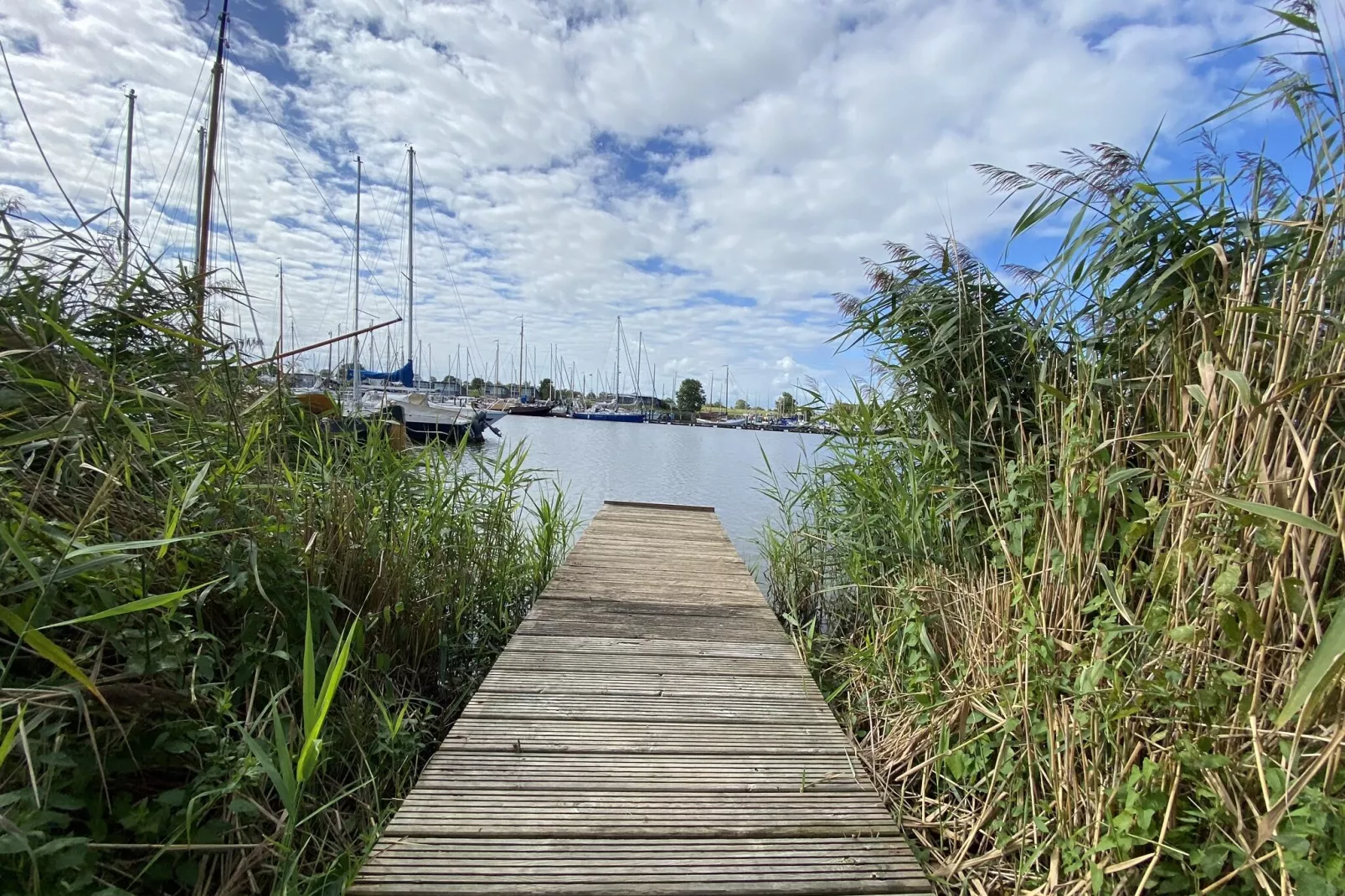 Vakantiehuis Lauwersmeer-Niet-getagd