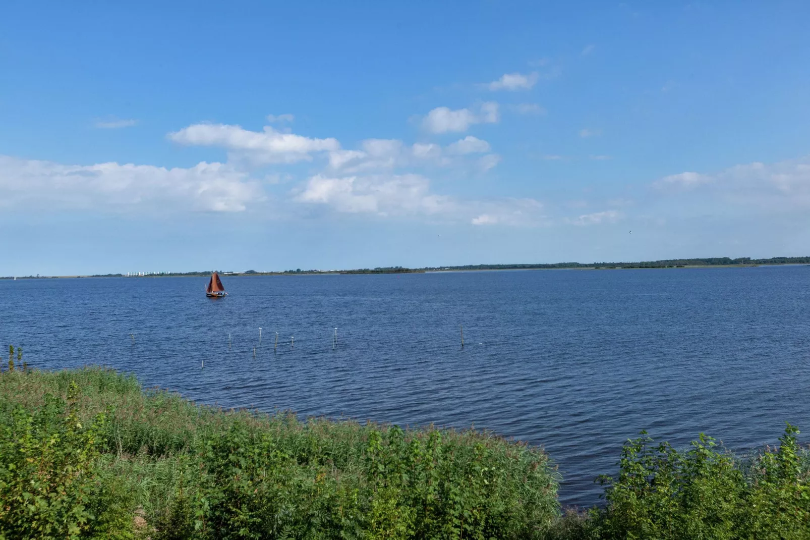 De Scholekster-Gebieden zomer 1km