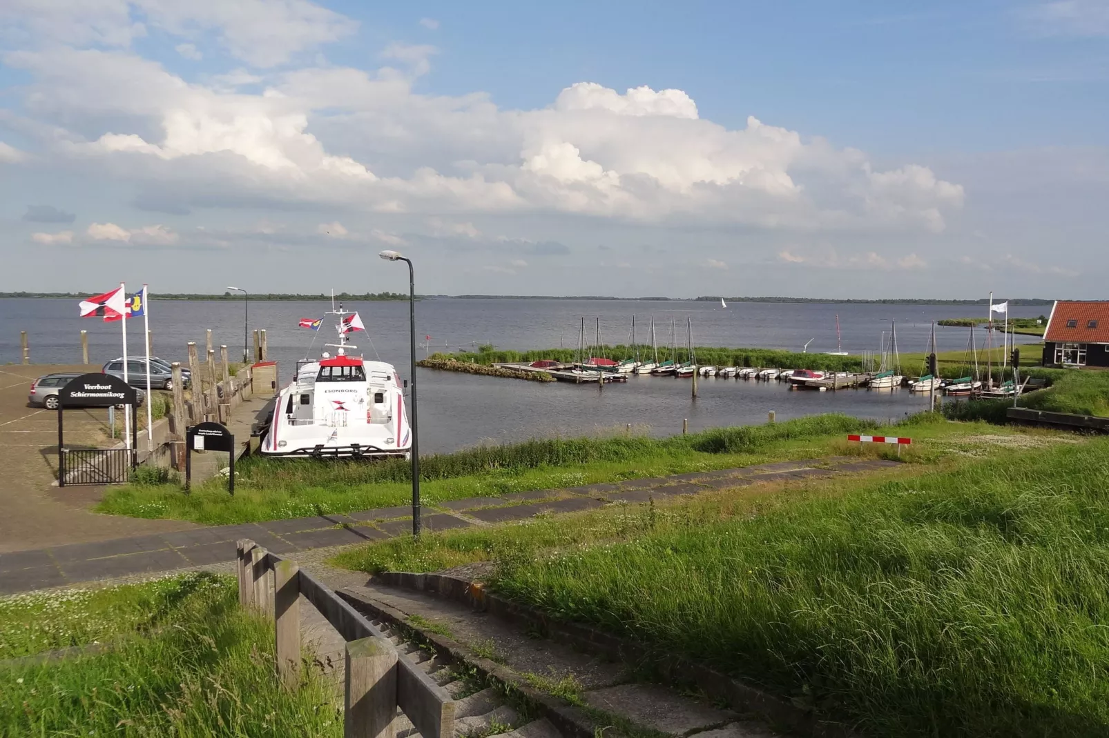 De Scholekster-Gebieden zomer 1km