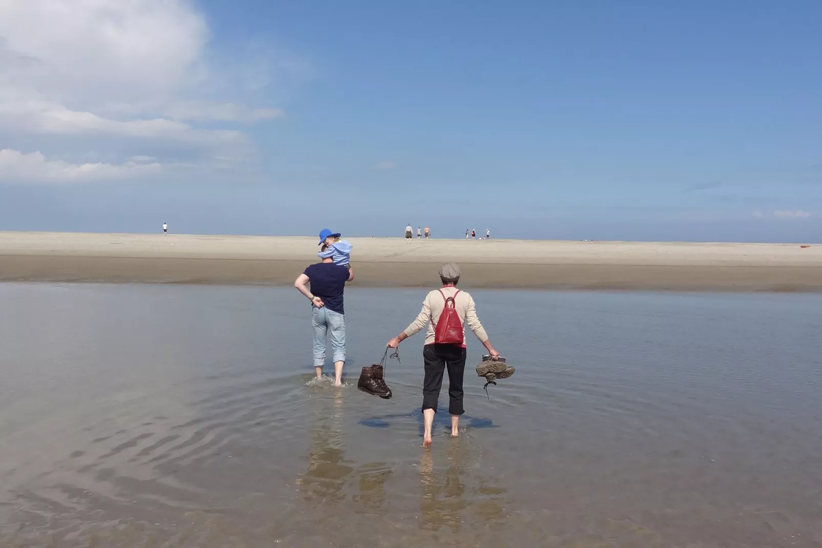 De Scholekster-Gebieden zomer 5km