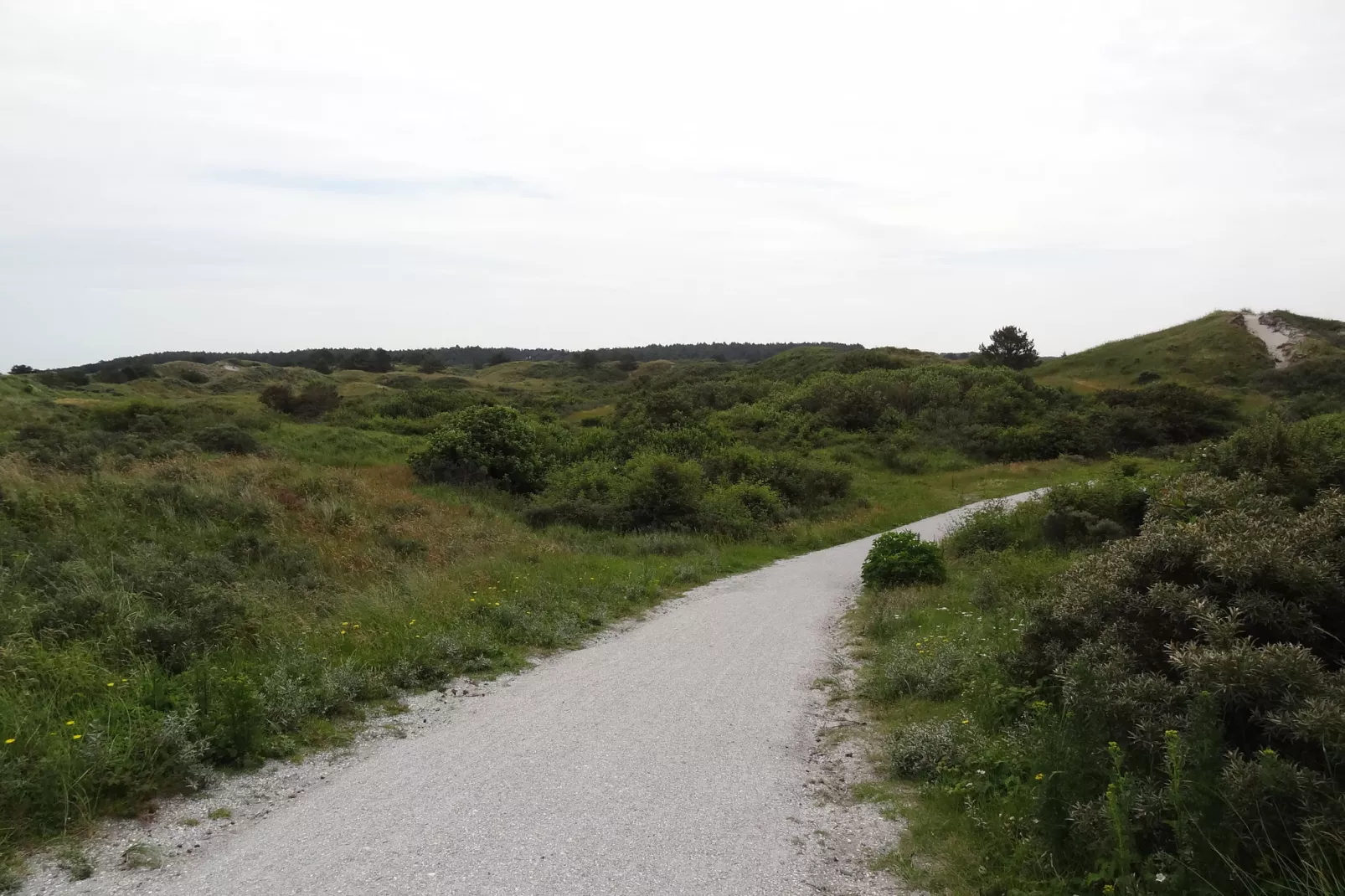 De Scholekster-Gebieden zomer 20km