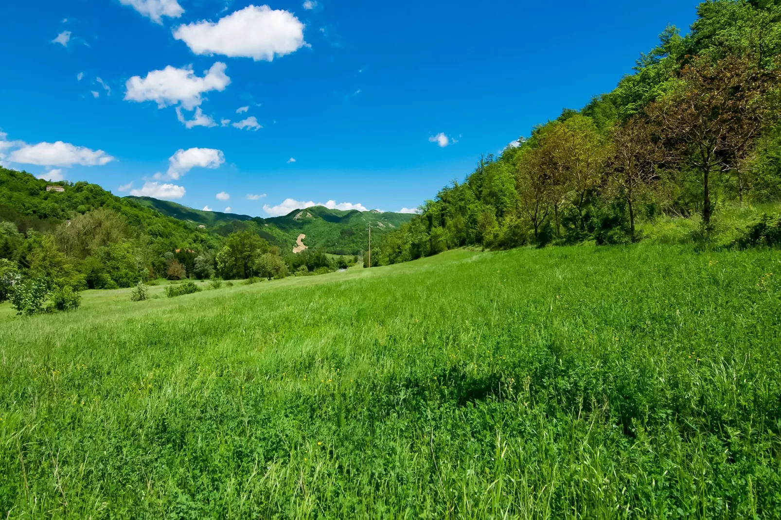 Villa Ludovica-Gebieden zomer 5km