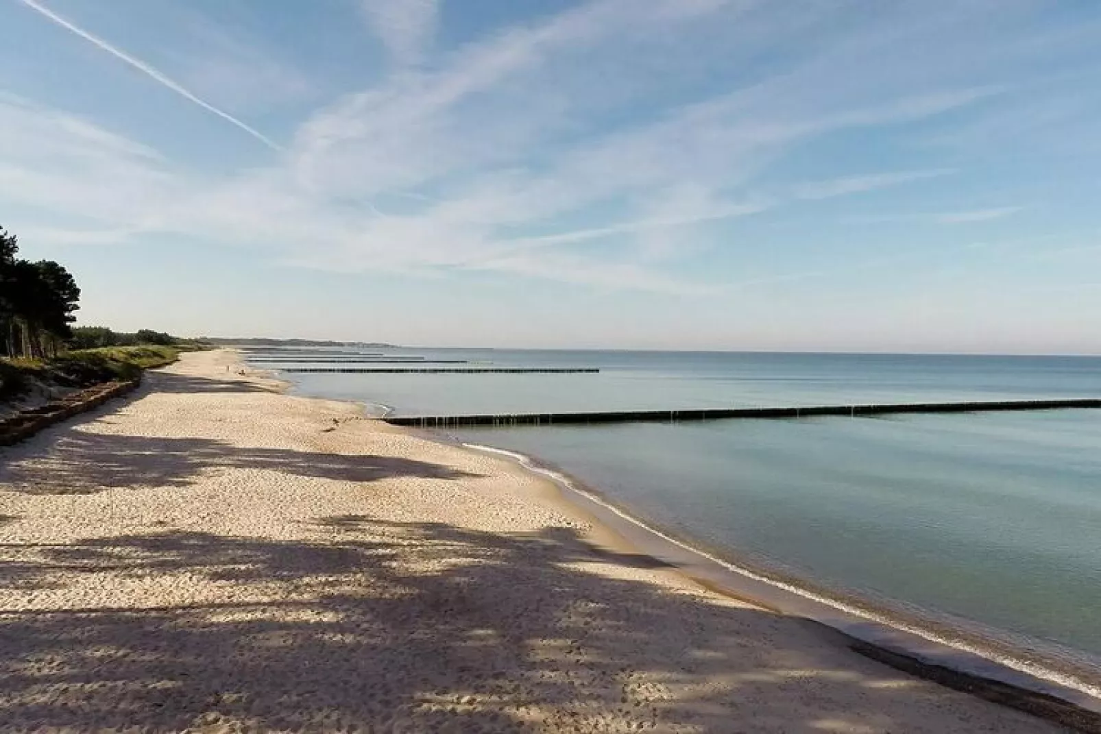 Studio-Gebieden zomer 1km