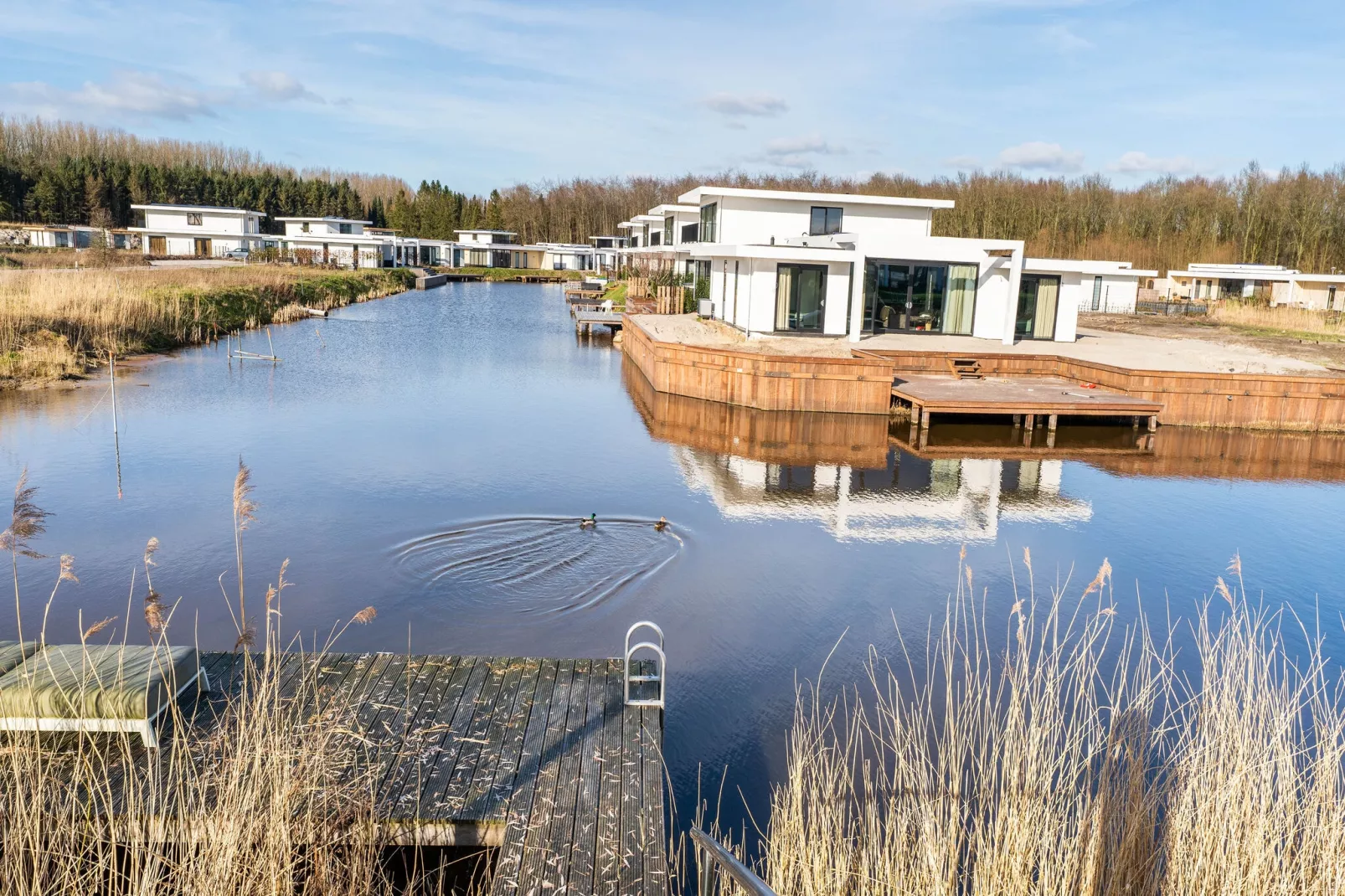 Villa Harderwold 313-Uitzicht zomer