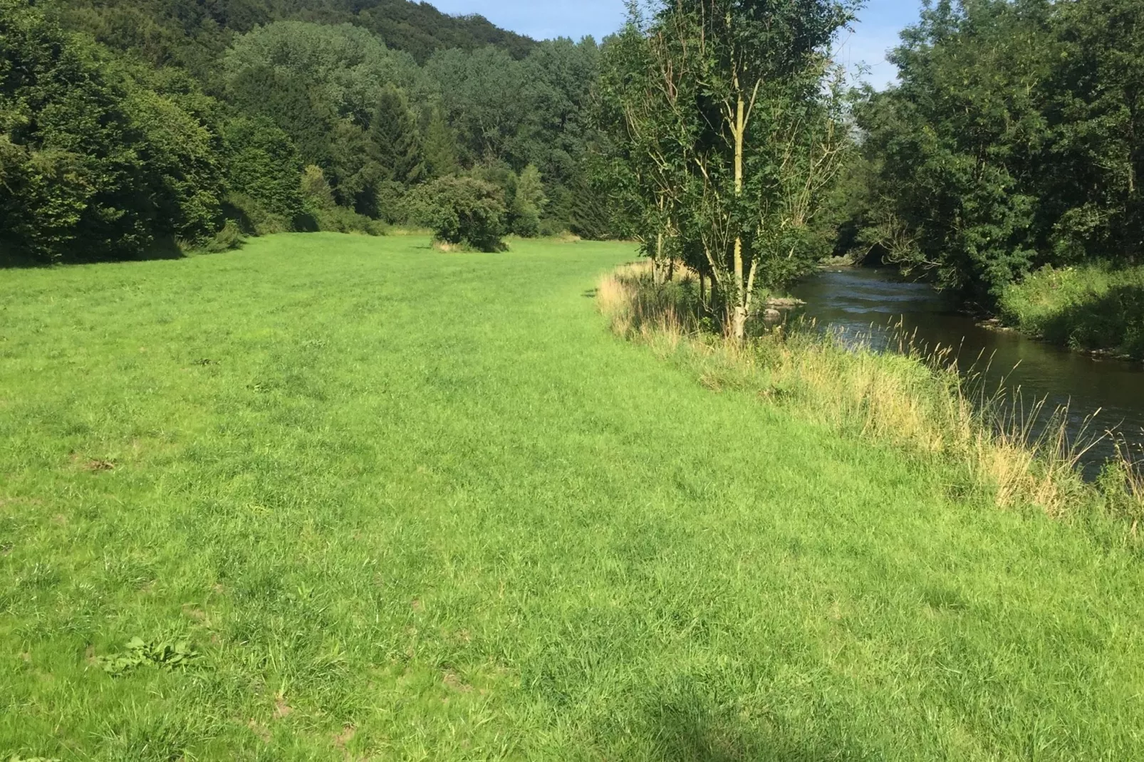 Reeenheuvel-Gebieden zomer 1km