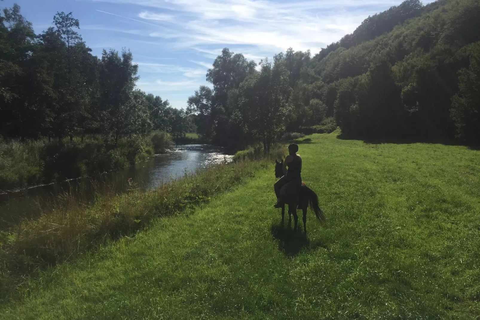 Reeenheuvel-Gebieden zomer 1km