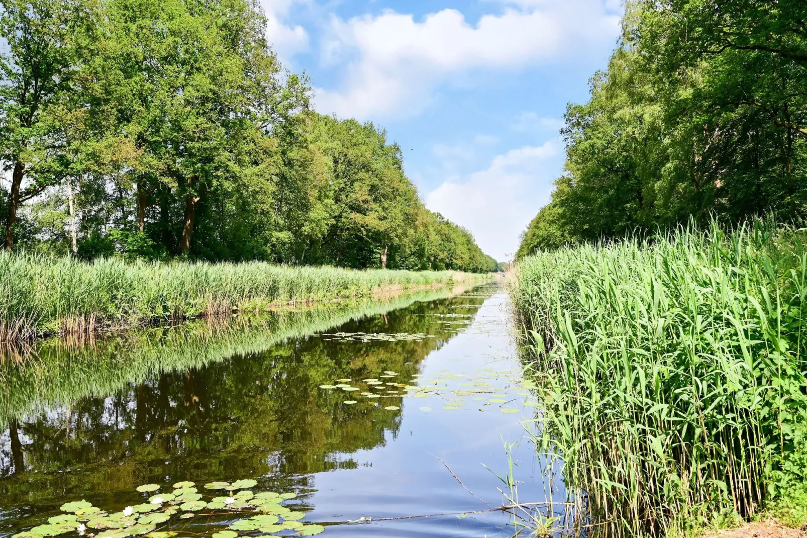 Uitzicht-Gebieden zomer 5km