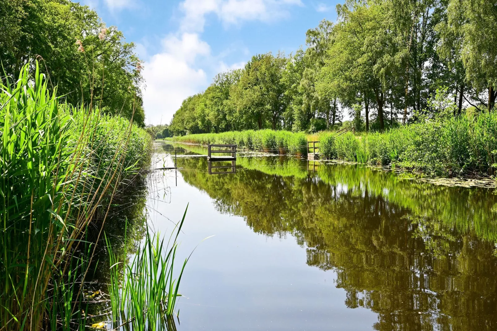 Uitzicht-Gebieden zomer 5km