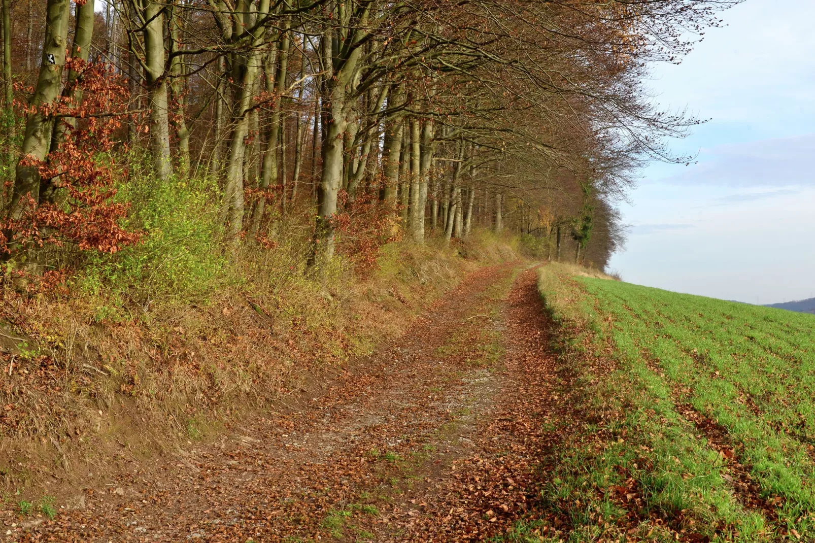 Weserbergland-Gebieden zomer 5km