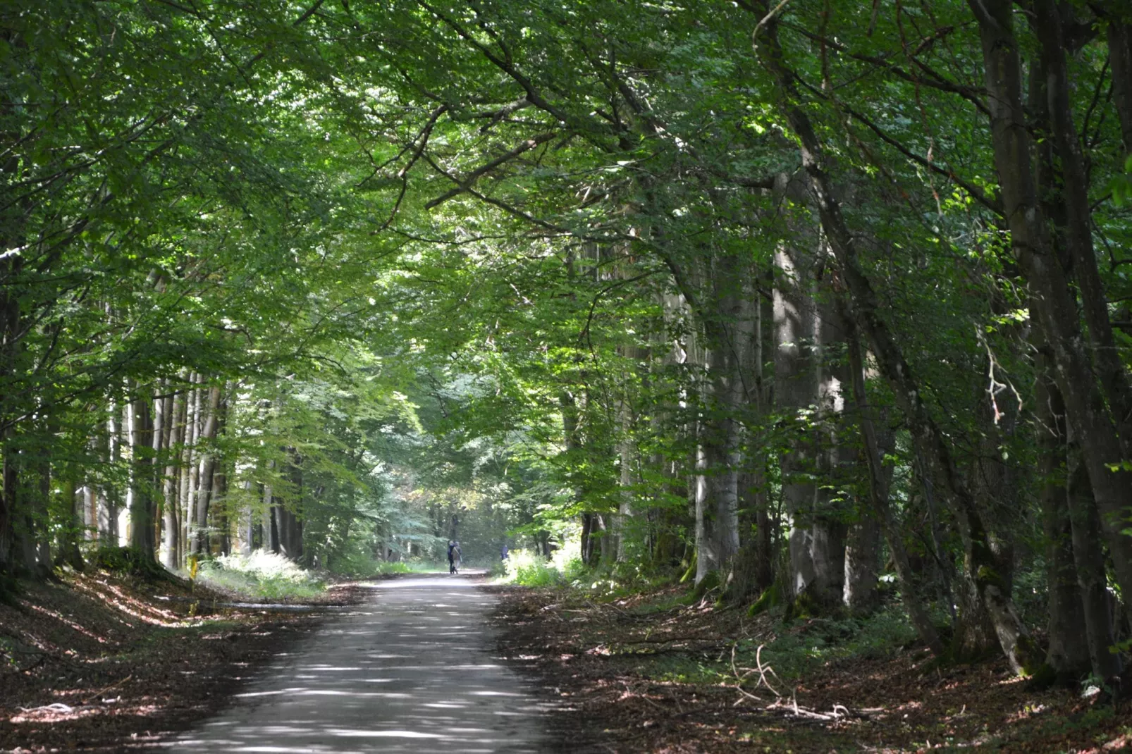 Nuts Castle-Gebieden zomer 1km