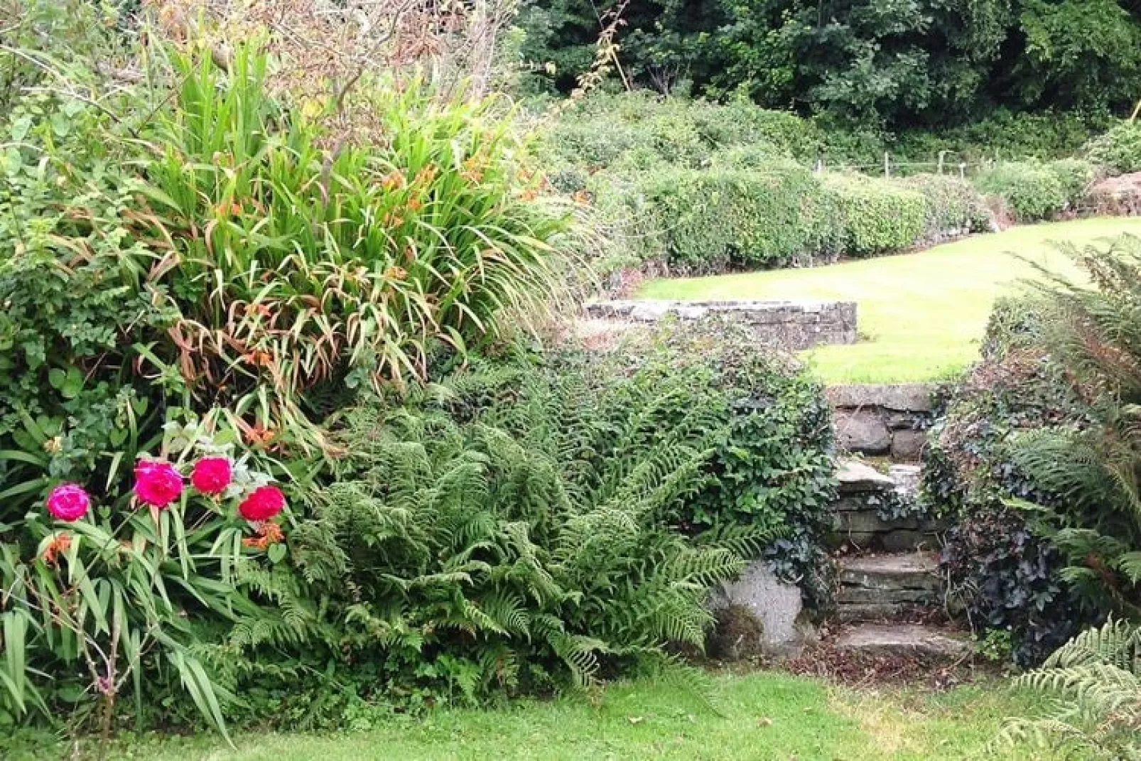 Holiday home, Castlelough-Lackaroe-Tuinen zomer