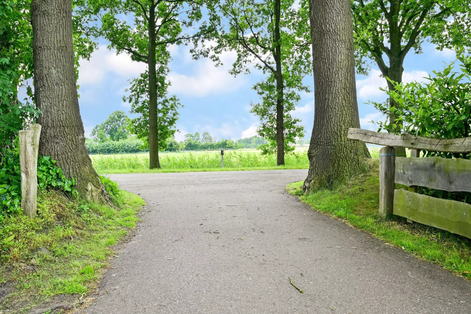 't Huuske Truuske-Gebieden zomer 1km