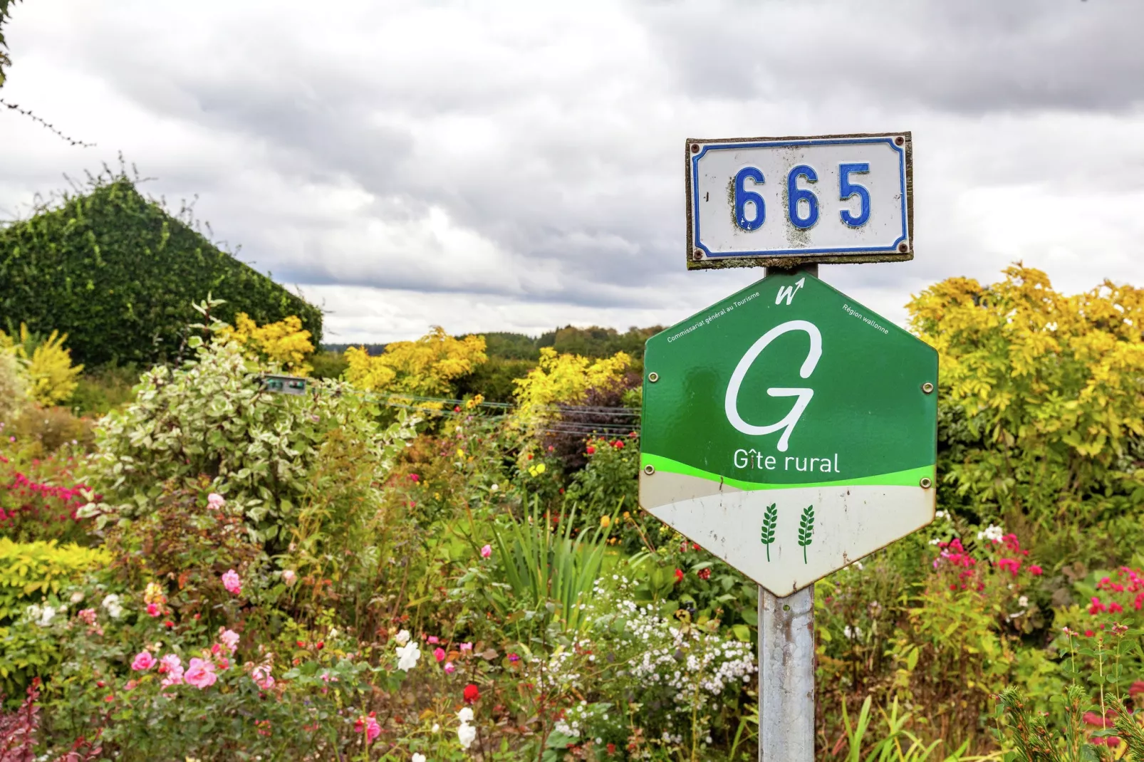 Bourcy-Gebieden zomer 1km