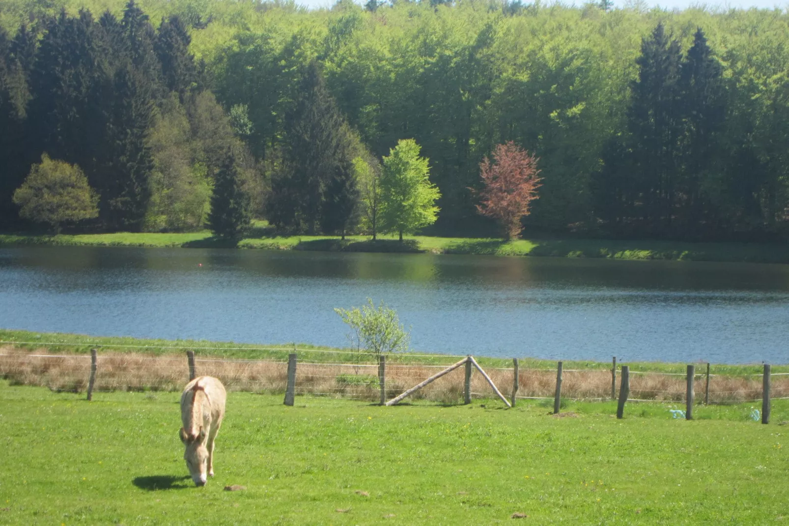 Bourcy-Gebieden zomer 20km