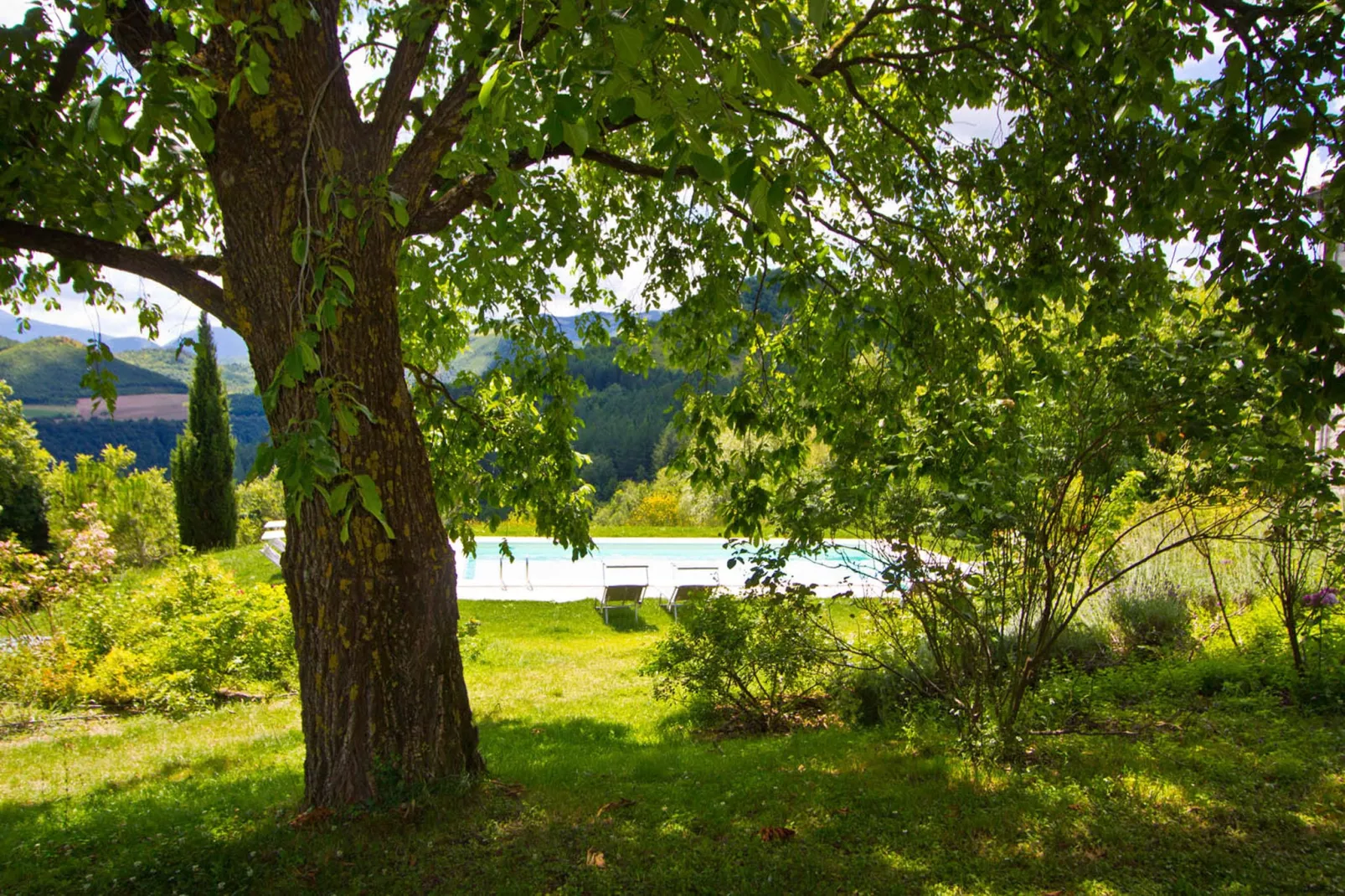 Del Frontino Cà Tofano-Tuinen zomer