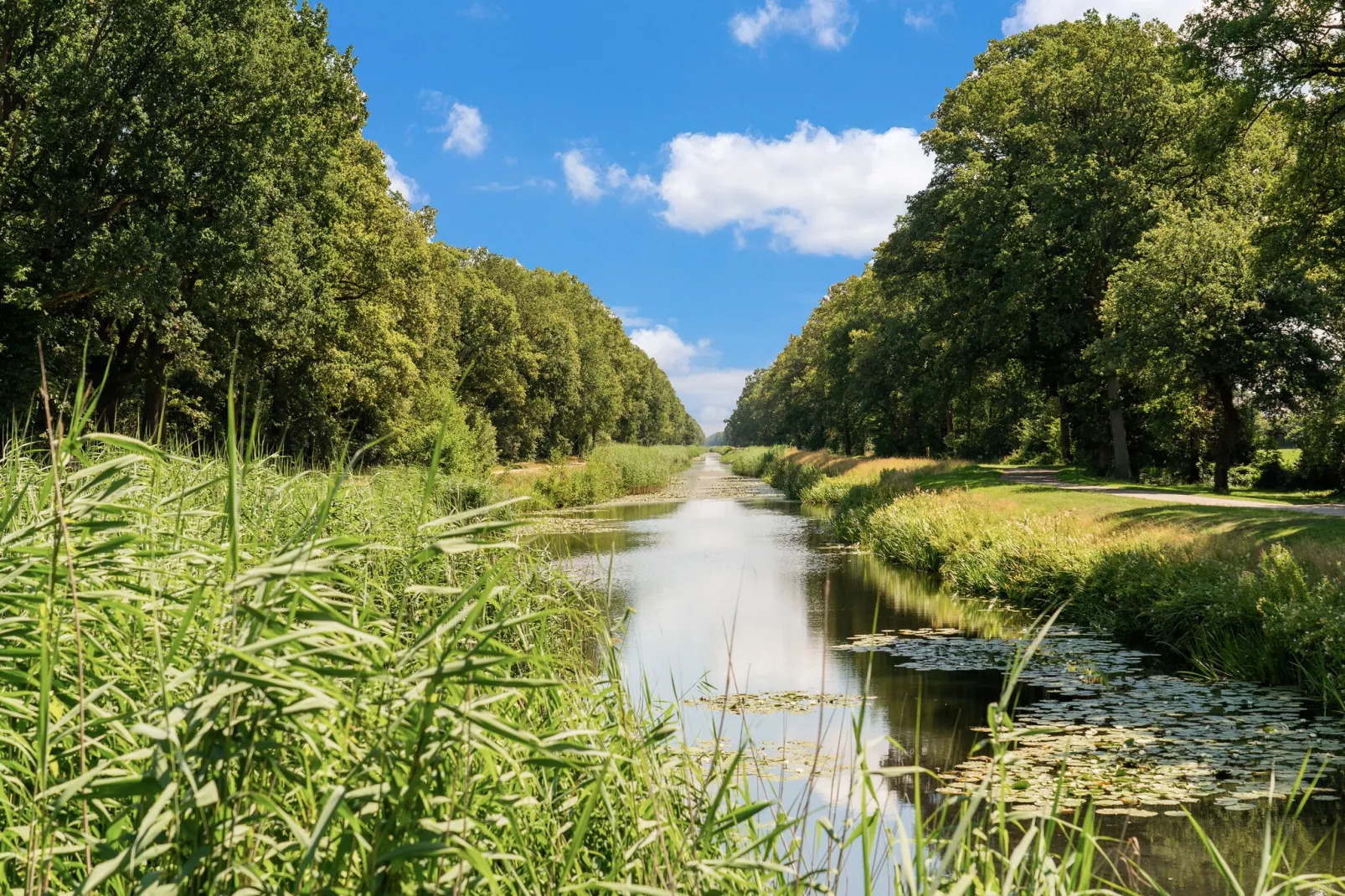 Steenmarter-Gebieden zomer 5km