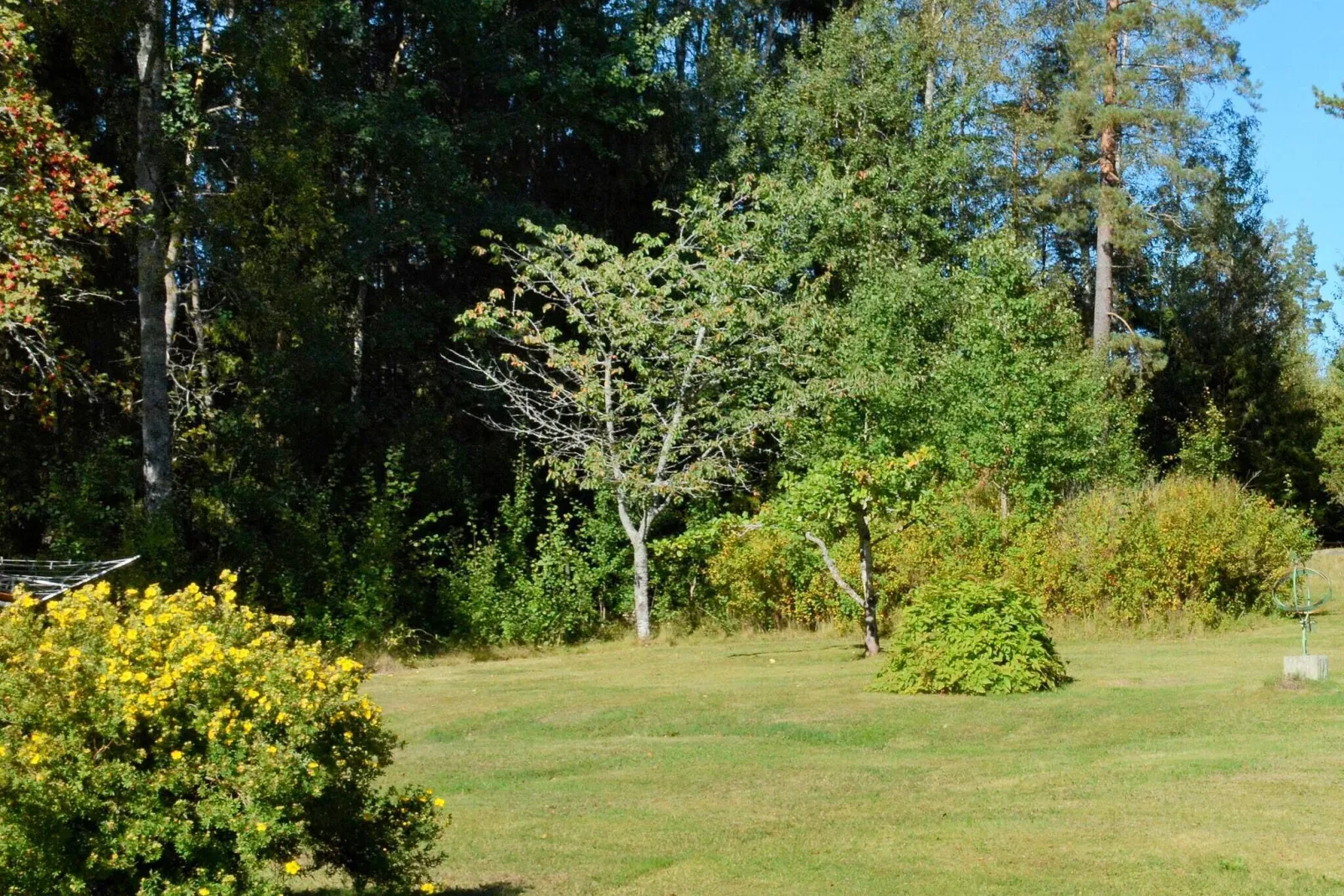 3 persoons vakantie huis in HAMMARÖ-By Traum-Niet-getagd
