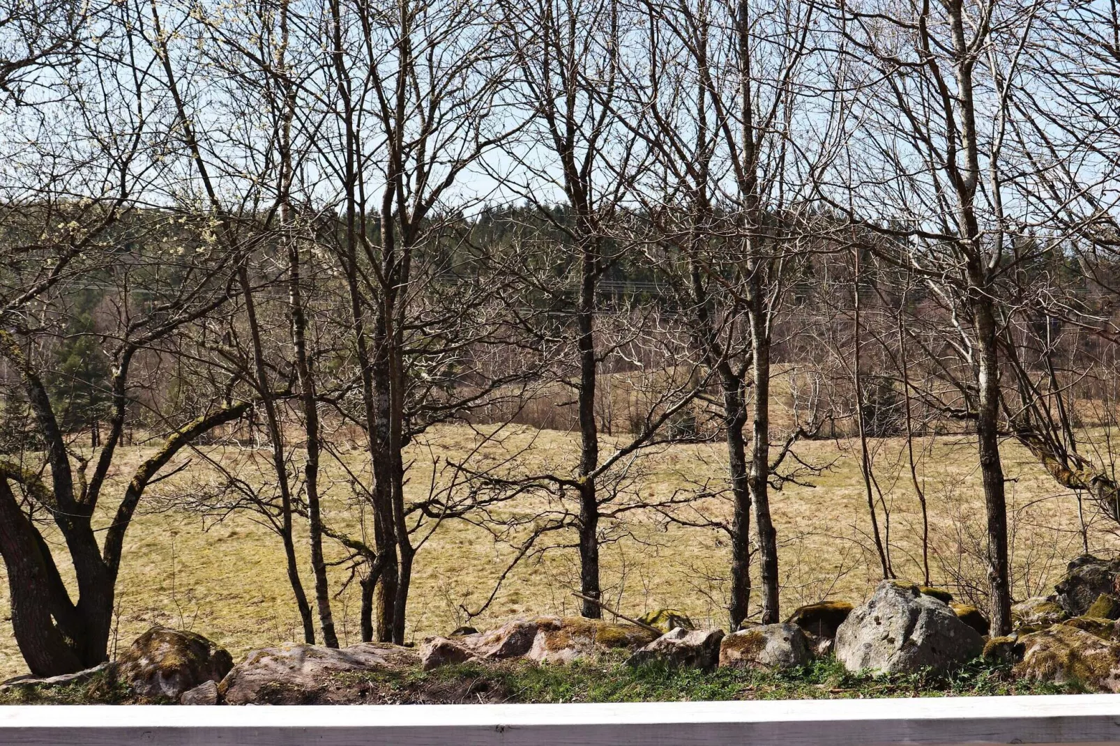 4 persoons vakantie huis in KNÄRED-By Traum-Buitenlucht