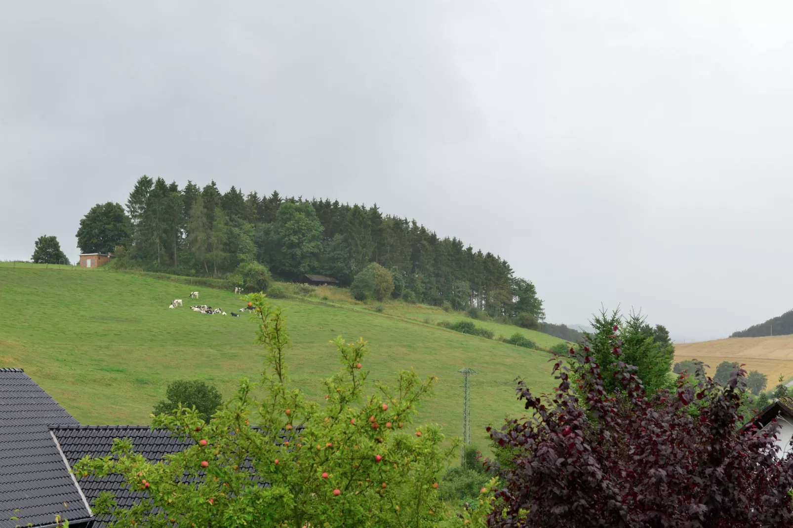 Ferienwohnung I Diemelsee-Uitzicht zomer