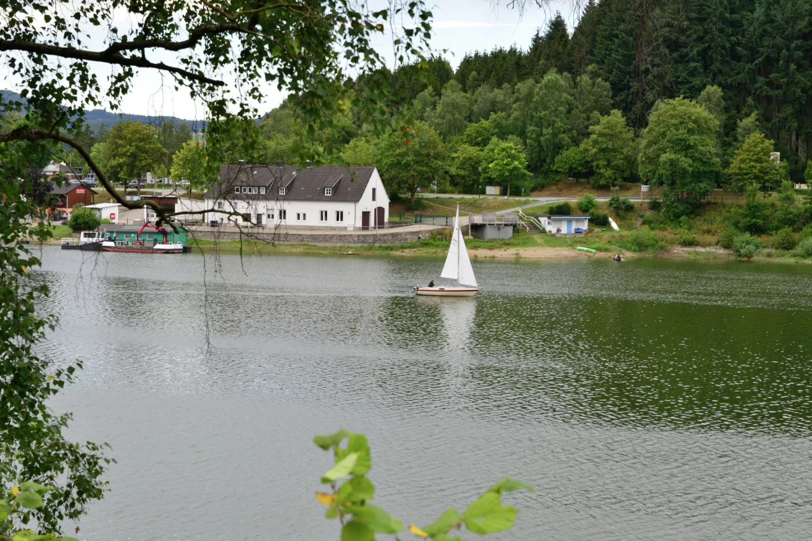Ferienwohnung I Diemelsee-Gebieden zomer 1km