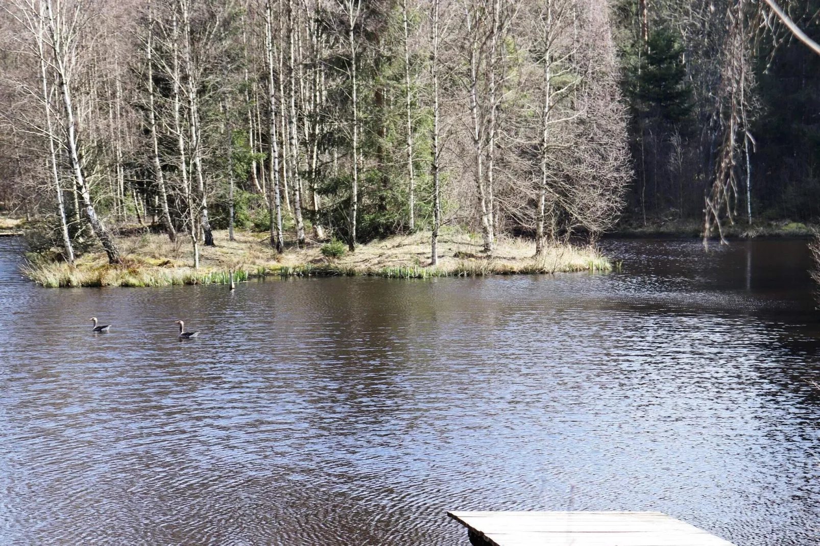 4 persoons vakantie huis in KNÄRED-By Traum-Niet-getagd