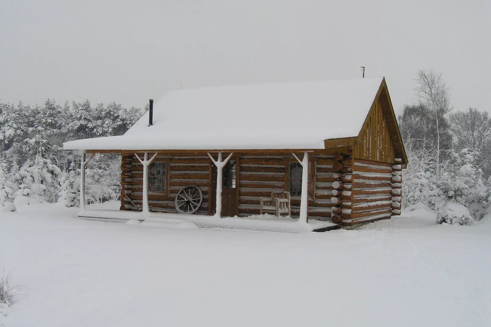 Amerikaanse Blokhut-Exterieur winter