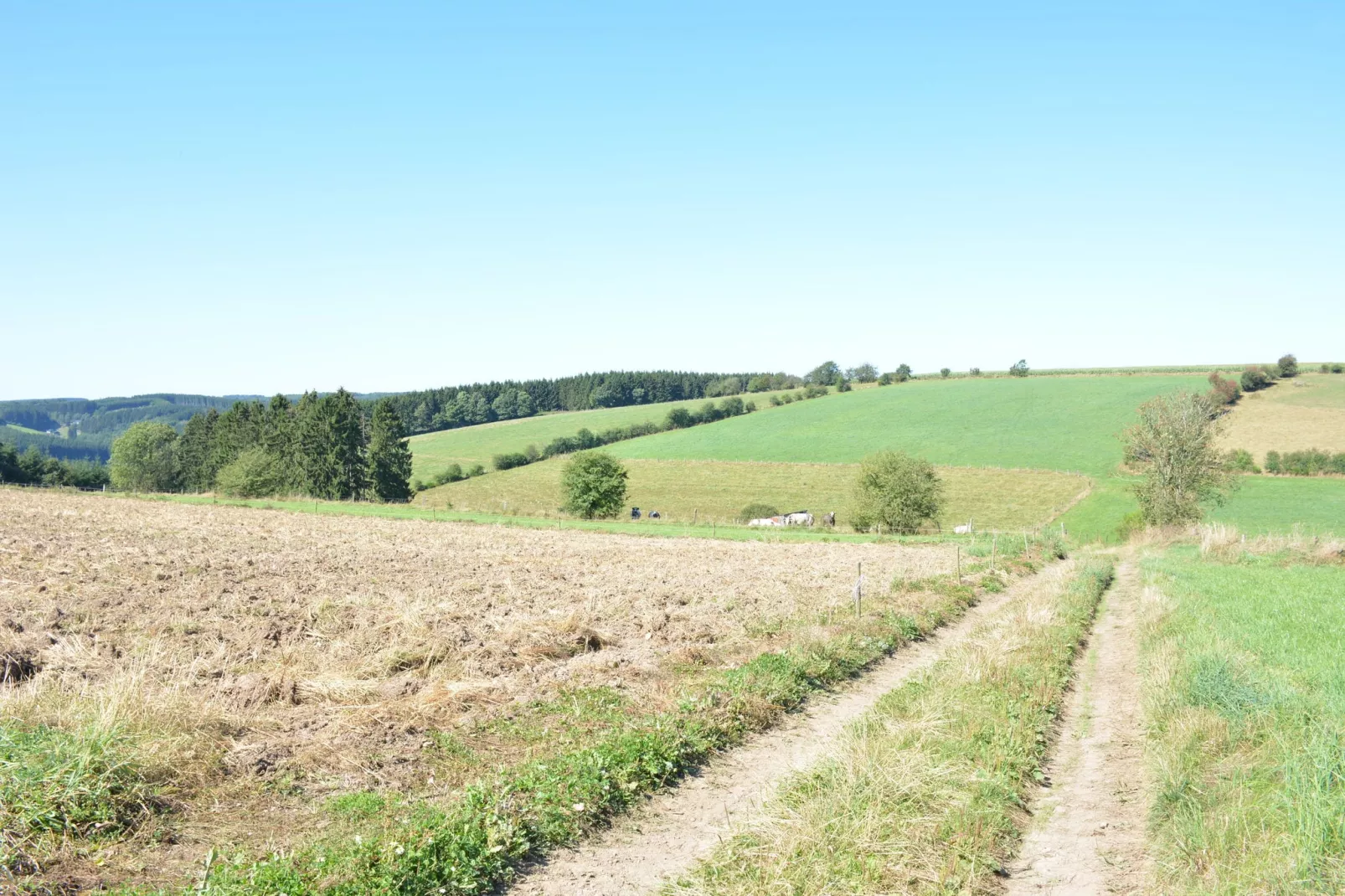 Aux Hirondelles-Gebieden zomer 5km