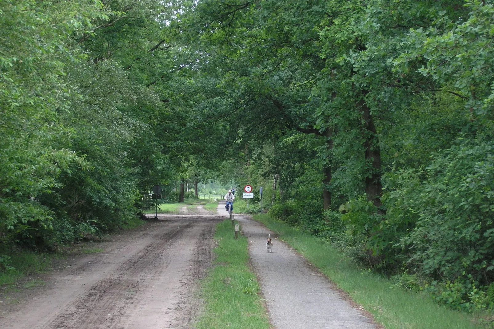 Amerikaanse Blokhut-Gebieden zomer 5km