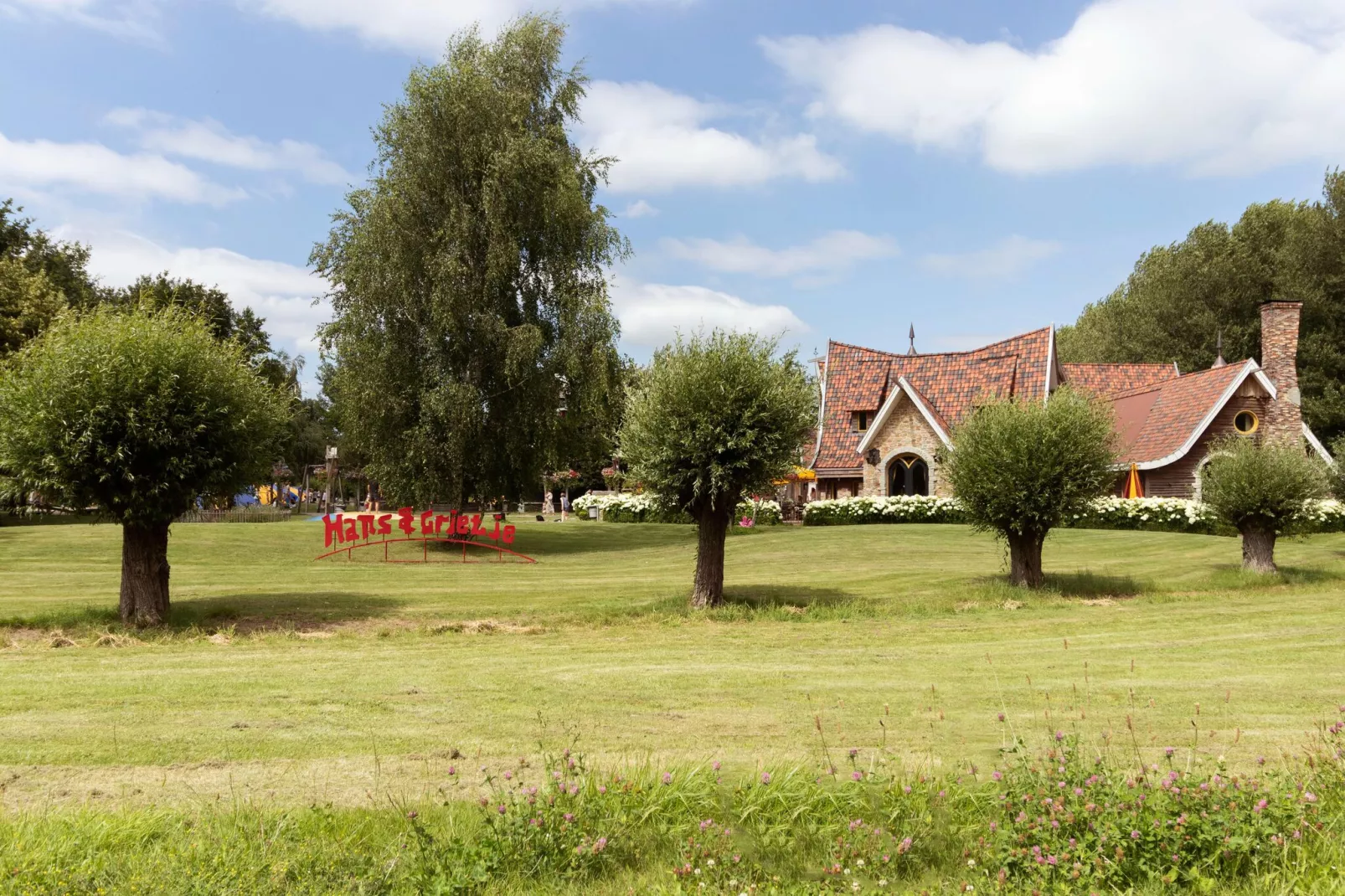 Rixwolde vakantievilla 430-Gebieden zomer 20km