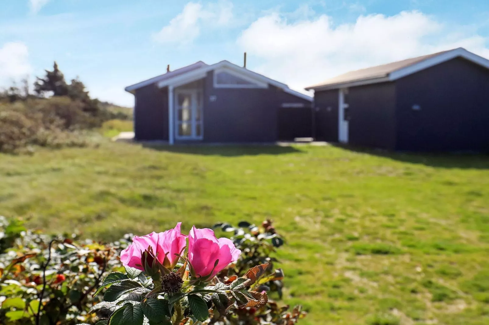 Moderne retraite in Lokken -- By Traum Ferienwohnungen-Uitzicht