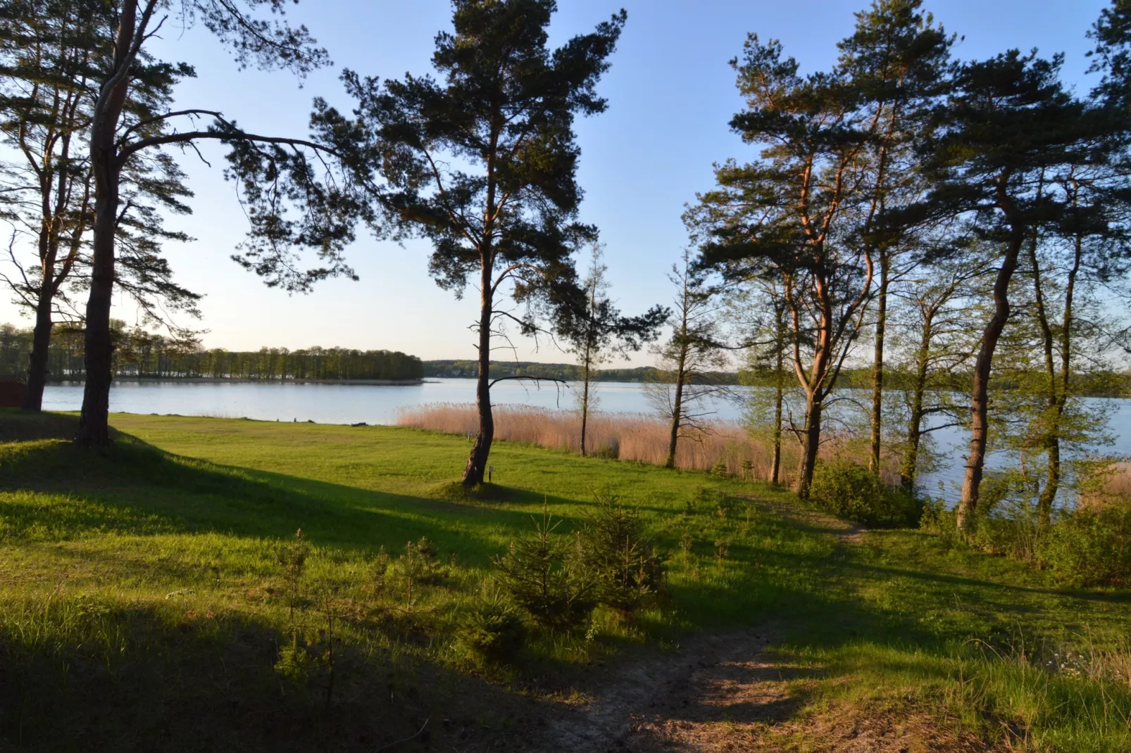 Lacus-Gebieden zomer 1km