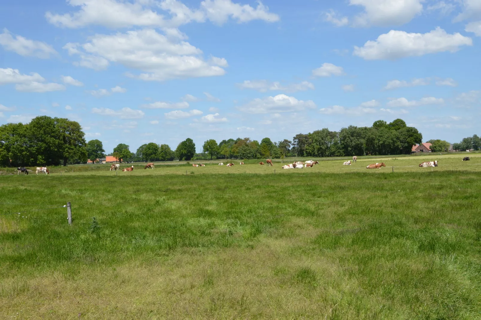 De Merel-Gebieden zomer 20km