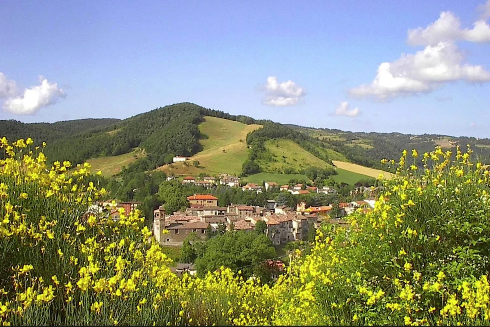 Il Papavero-Gebieden zomer 1km