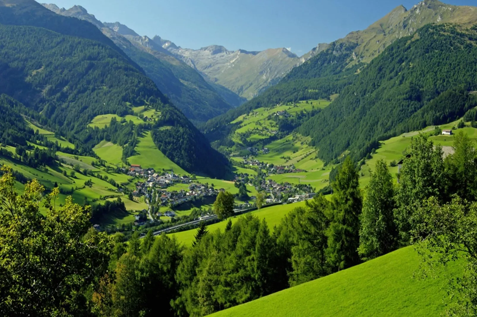 Haus 3 Birken-Gebieden zomer 5km