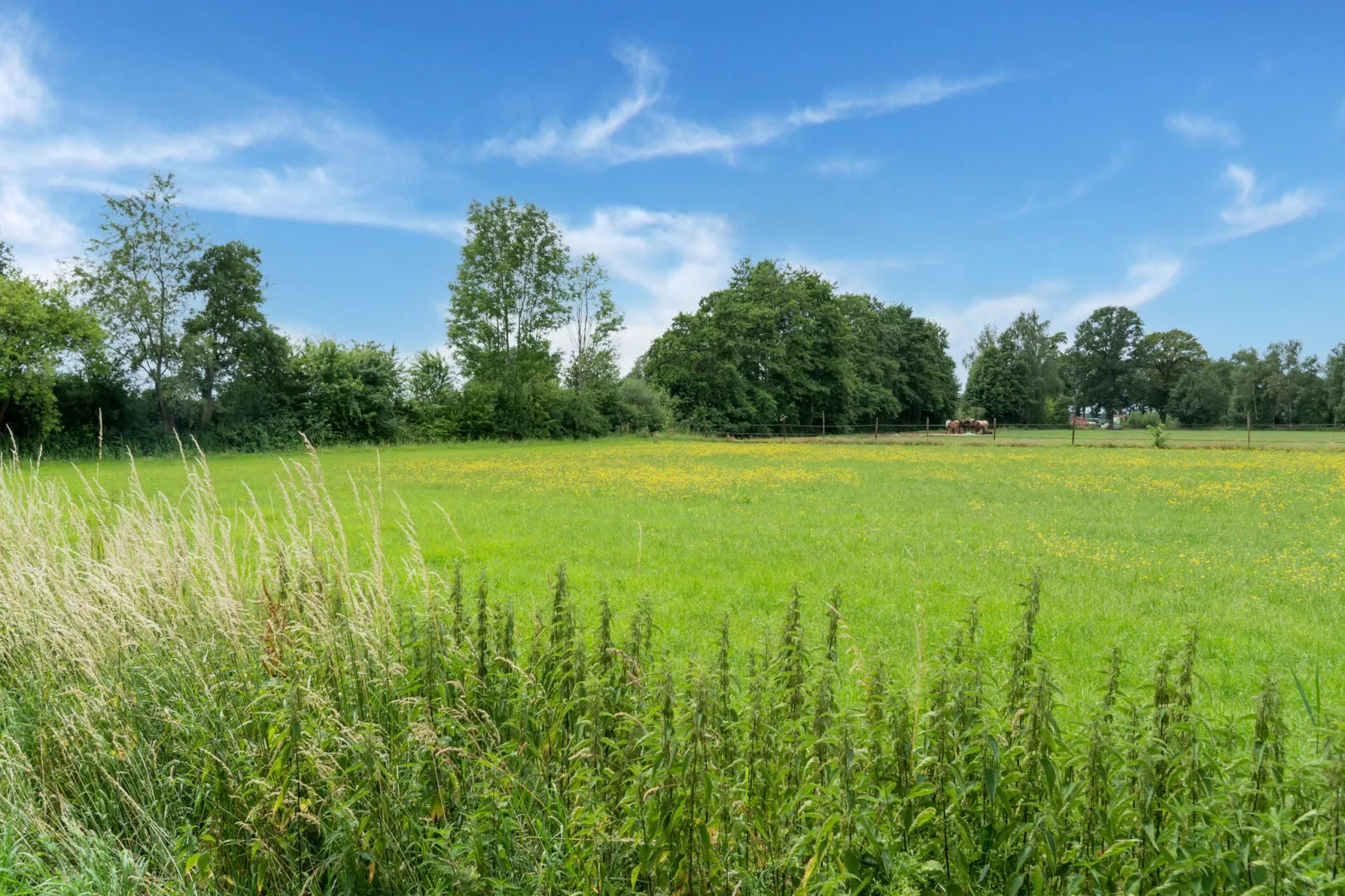 Chalet Natuurschoon-Uitzicht zomer