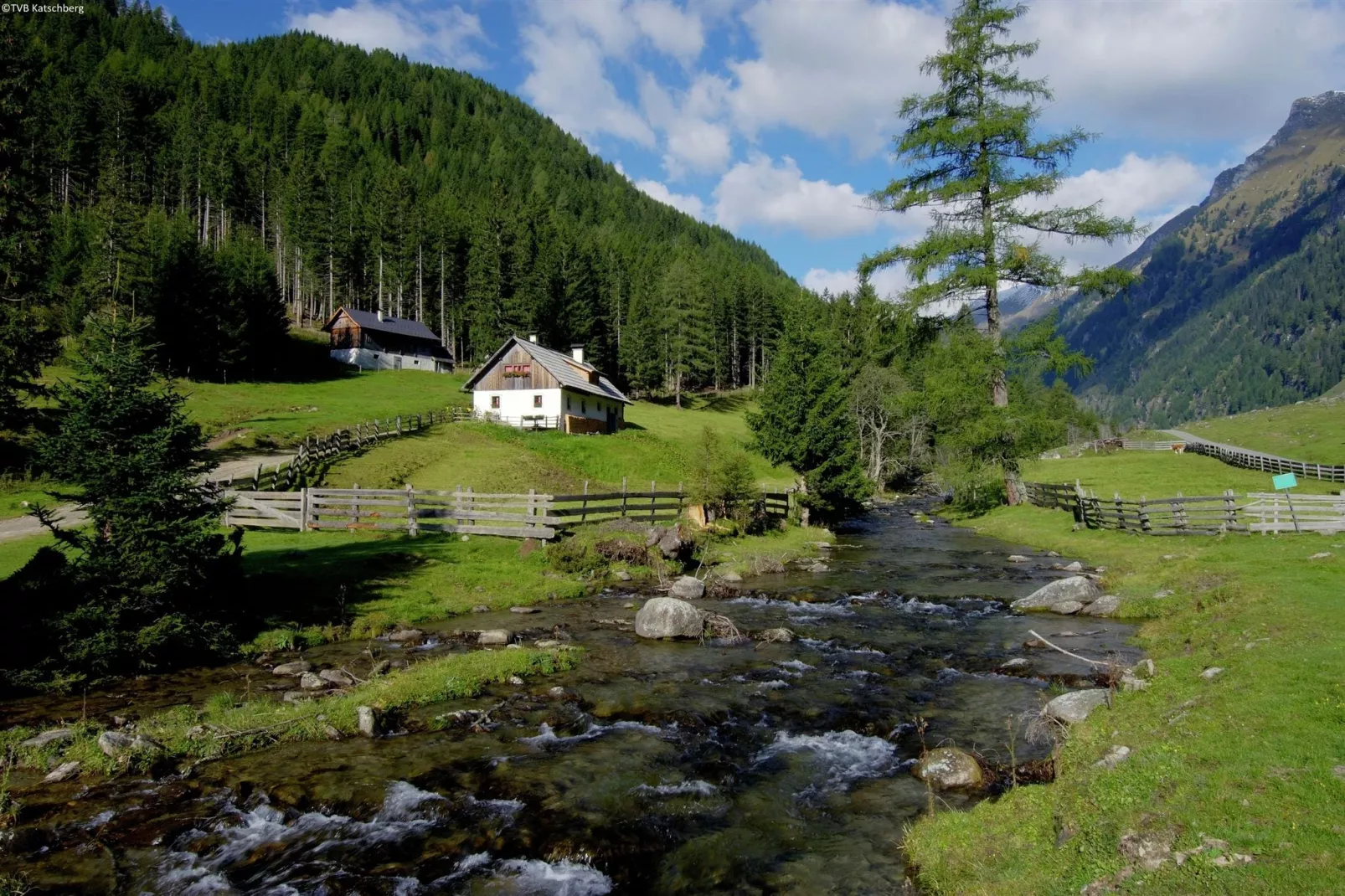 Haus 3 Birken-Gebieden zomer 20km