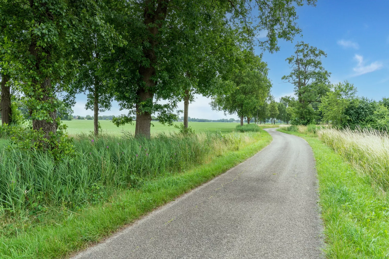 Chalet Natuurschoon-Gebieden zomer 5km