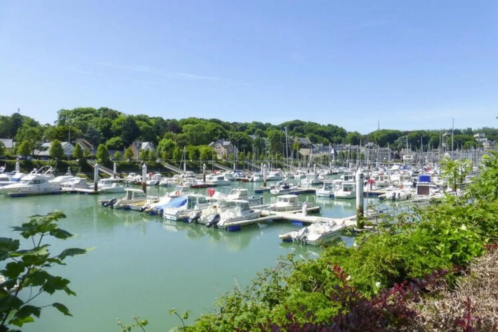 Holiday home Quiberville-sur-Mer-Gebieden zomer 20km