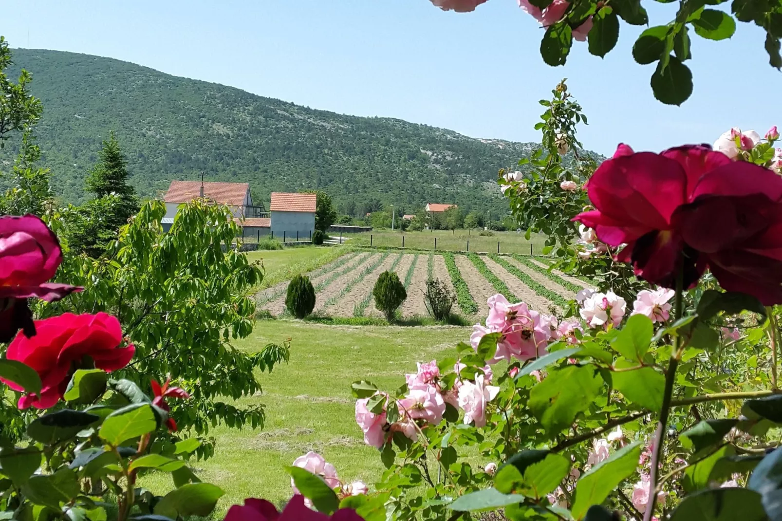 Villa Almas holiday house-Sfeer